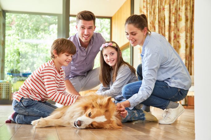 Baufamilie Eine Familie mit zwei Kindern streichelt ihren Hund in einem hellen Wohnraum.